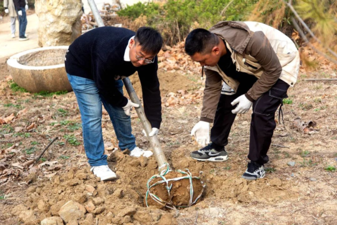 春風(fēng)十里，植下一片綠 | 瑞源控股集團(tuán)開展2023年植樹節(jié)系列活動(dòng)